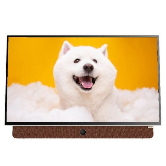 創維 24" 24LP6000G Portable 手提式 GOOGLE Monitor 顯示屏 24LP6000 24L6000G