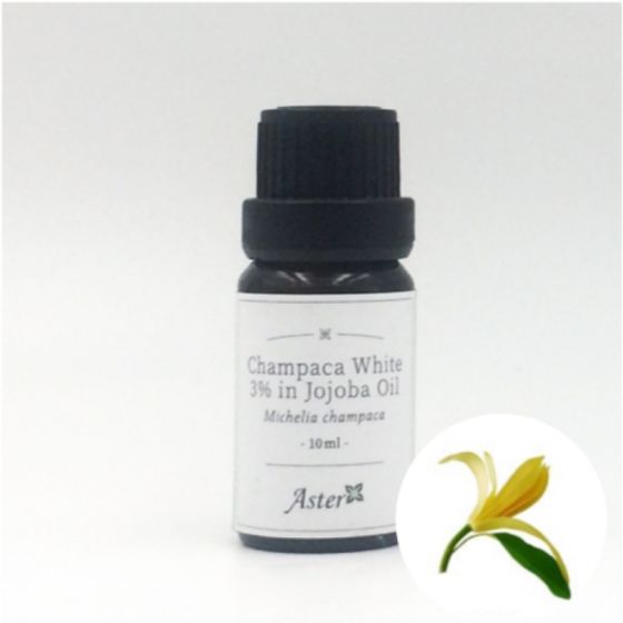 Aster Aroma 3% 白蘭花原精香薰油(Michelia champaca) +有機荷荷巴油(Simmondsia sinensis) - 10ml CL-020660010