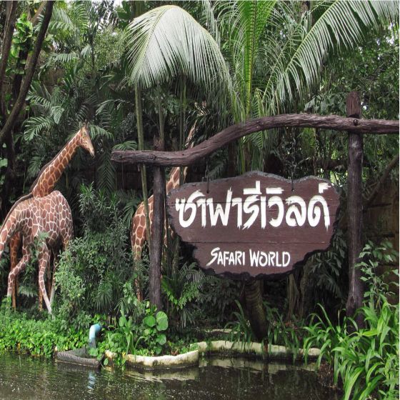 【野生動物園門票】泰國曼谷塞福瑞野生動物園 (成人/小童)