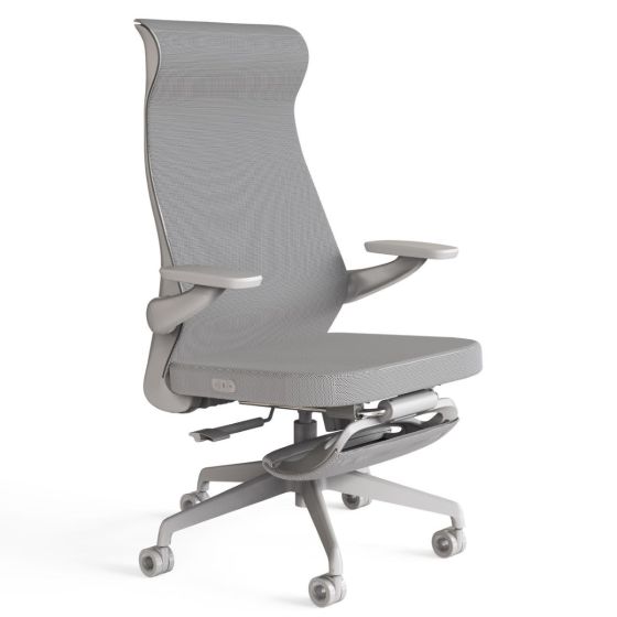 OTO - Ergon 無線按摩工學椅 (EG-01)
  EG-01