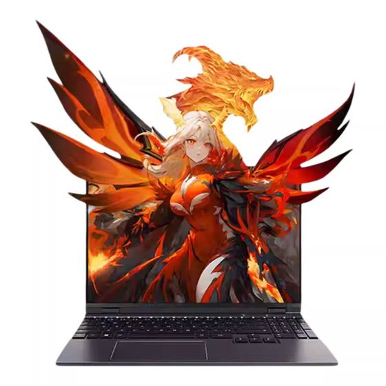 Mechrevo - 翼龍16Pro 16" Ryzen 7 H 255 RTX 5060 16GB+1TB Win 11 Pro 電競手提電腦(NB-M16PR7I+LB-PCNB) NB-M16PR7I
