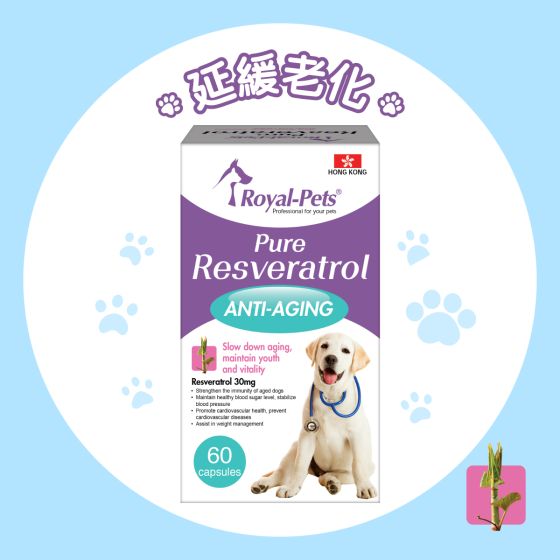 Royal-Pets - 純正白藜蘆醇 60粒膠囊