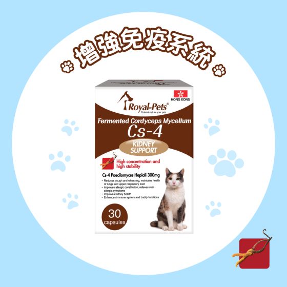 Royal-Pets貓用發酵蟲草菌絲體Cs-4 30膠囊裝