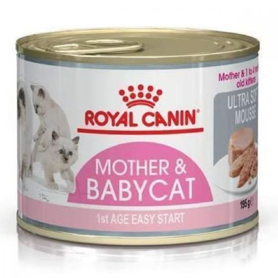 Royal Canin - FHN 離乳貓及母貓營養主食罐頭 (195g) RC-CAT-CAN_195G