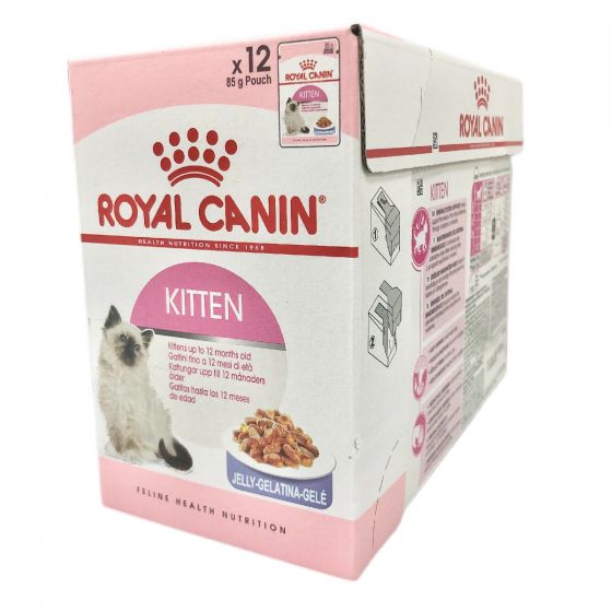 Royal Canin - FHN 幼貓營養主食濕糧(啫喱)(12包盒裝)貓濕糧 RC-PCH-KIT_JEL-12