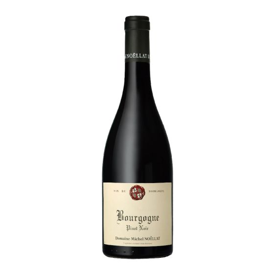 Domaine Michel Noëllat Bourgogne Pinot Noir 2022 SL-FR-03229