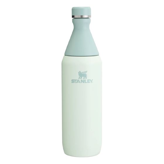 Stanley All Day Slim 20 oz Bottle 纖薄水壺 (多款顏色)(送貨需時約10-14天) CR-STY-BTLADS20-MO