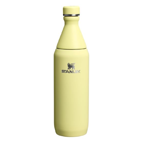 Stanley All Day Slim Bottle 20oz (柚子粉 亮面) SV-STY-ADS20-PG-R