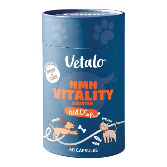VETALO - NMN活力重生配方 60粒 CR-VL8503