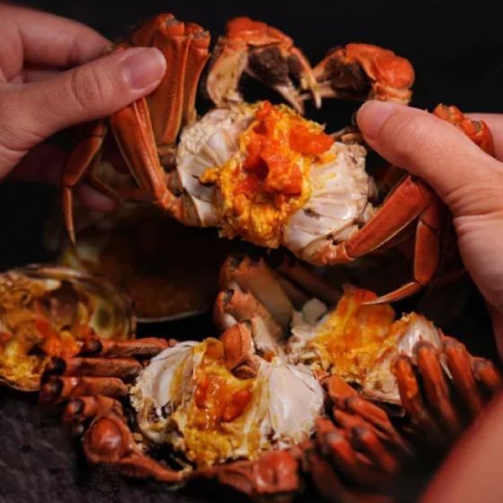 肯尼海鮮 - 江蘇大閘蟹 3两【公】(1隻) YK-26Crab-CMB