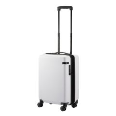 ace. Tokyo Cornerstone 2-Z 行李箱 可擴展 21 吋/55厘米 拉鍊型, 34/40升 (Beige/白色/Gunmetallic)