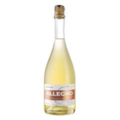 Melchiori Allegro Craft Apple Cider Extra Dry 10142739
