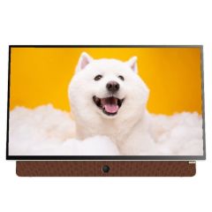 創維 24" 24LP6000G Portable 手提式 GOOGLE Monitor 顯示屏 24LP6000 24L6000G
