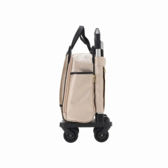 ace. Sesoelte Calando2 購物車 21吋/53 厘米 16 升 (Beige / 深灰色 / 玫瑰紅)