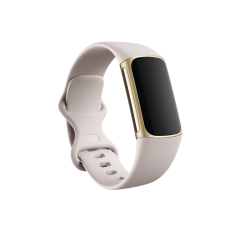 Fitbit Charge 5 運動健康智慧手環