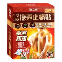 HEALTHALL - Herbal Pain Reliving Patch (Hot warming) 10pcs CR-4897132180146