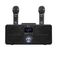 Karaoke audio speaker family karaoke set - Black B0049_Black