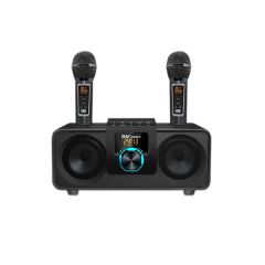 Household karaoke HIFI subwoofer Bluetooth speaker B0248