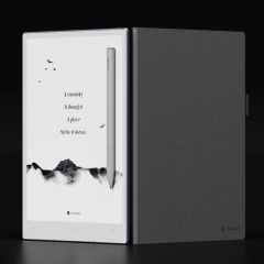 Viwoods - AiPaper 10.65" eReader BGT0493