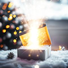 The Club Xmas Mystery Box - P
