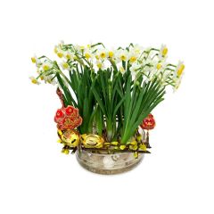 Give Gift - Narcissus Tazetta Planter A2 CF20125A1