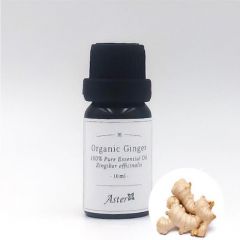Aster Aroma Organic Ginger Essential Oil (Zingiber officinale) - 10ml CL-020200010
