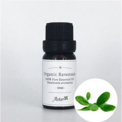 Aster Aroma Organic Ravensara Essential Oil (Ravensara aromatica) - 10ml CL-030030030