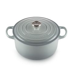 Le Creuset Signature Round Casserole/oven 22cm Sea Salt SS Knob CR-21177227174430