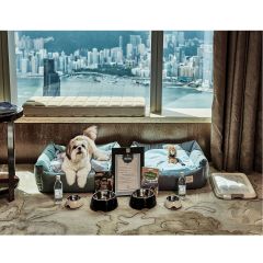 【寵物友好計劃】香港麗思卡爾頓酒店 CR-CTPSRC20220400