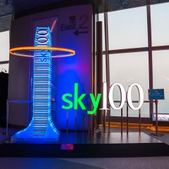 【Standard tickets】Sky100 Hong Kong Observation Deck  CR-CTSTSD2021