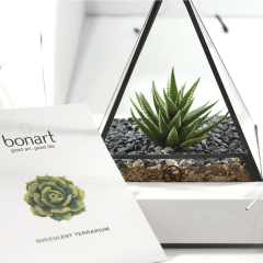 [The Club Exclusive] Bonart - Succulent Terrarium Workshop - Cube CR-MNDB084