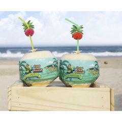 Easy-Open Young Coconuts (12pcs) CR-YK-Coconut