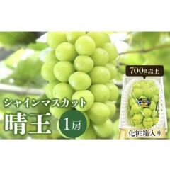 Okayama "Shine Muscat" Gift Box (700g) CR-YK-Grapes