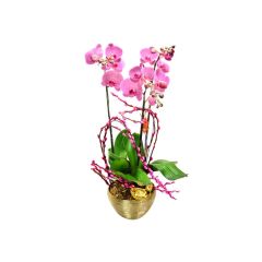 Give Gift - CNY Orchids X3 PL03 CRO20129A1