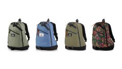 Gregory - CLASSIC DAY Day 背囊 (多種顏色)