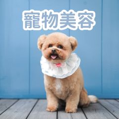 DOGINN - Dog Grooming Service - Full-hand Grooming (<4kg to 30kg) DOGINNFHGrooming