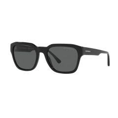 Emporio Armani EA4175 Gents Sunglasses CR-EA4175