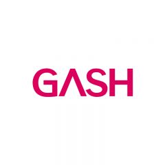 GASH - 港版GASH (50 / 100 / 500 / 1000 點) gash_HK_all