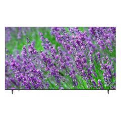 PRIMA 86" LE-86CVJF8 4K digital TV 高清數碼電視 86CVJF8 LE-85CVJF8