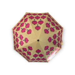 Orchid Dawn Collection - WONG TAI SIN' LANTERNS 21 inch Folding Umbrella LFD192