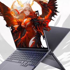 Mechrevo - 16Pro 16" Ryzen 7 H 255 RTX 5060 32GB+1TB Windows 11 Pro Gaming Laptop(NB-M16PR7D+LB-PCNB) NB-M16PR7D