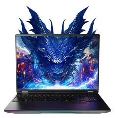 Mechrevo - 16X Pro R9 9955HX RTX 5070 Ti 32GB+1TB Windows 11Pro Gaming Laptop(NB-M16XR9A/LB-PCNB) NB-M16XR9A