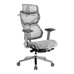 i-Rocks T27S Ergonomic Mesh Chair with Leg Rest [Made in Taiwan](Grey-Mesh)(Estimated delivery date: Early July) PD-40494