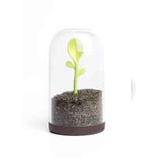QUALY - Sprout Jar -Container + Spoon QL10205-BN