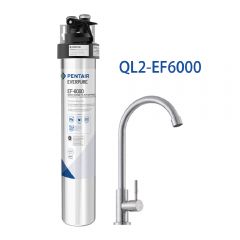 EVERPURE - QL2-EF6000 濾水設備 (濾水器) [包上門送貨連基本安裝服務]