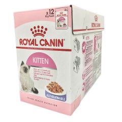 Royal Canin - FHN Kitten (Jelly) (12pack Box Set) RC-PCH-KIT_JEL-12