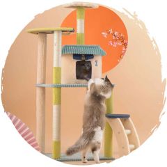 TC-Climber-12.jpg