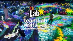 【ChinaTicket - Co-Creation with TeamLab Future Park】Admission Ticket
