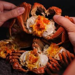 肯尼海鮮 - 江蘇大閘蟹 3两【公】(1隻)