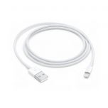 APPLE LIGHTNING TO USB CABLE (1 M) 4006731